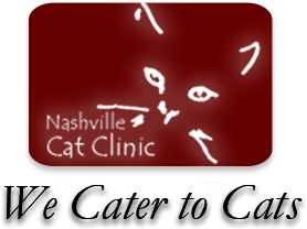 Nashville Cat Clinic